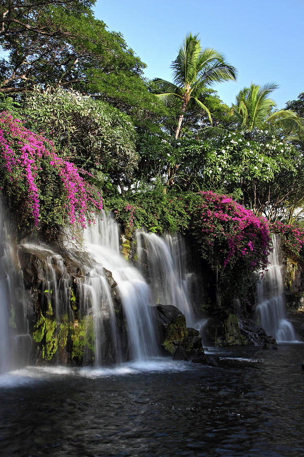 Flower waterfall Photograph by Pierre Leclerc Photography