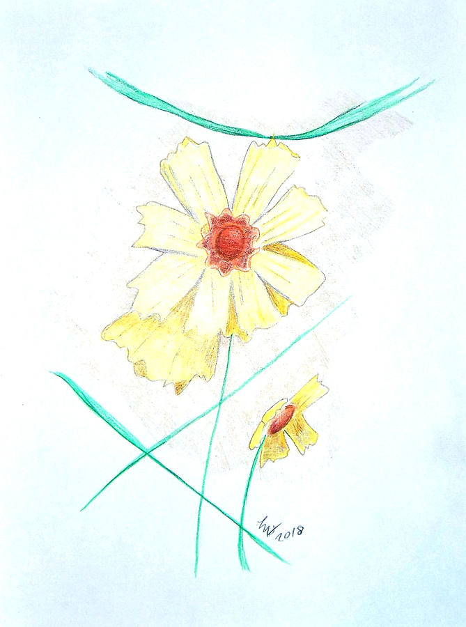 Flower78 Drawing by Loretta Nash