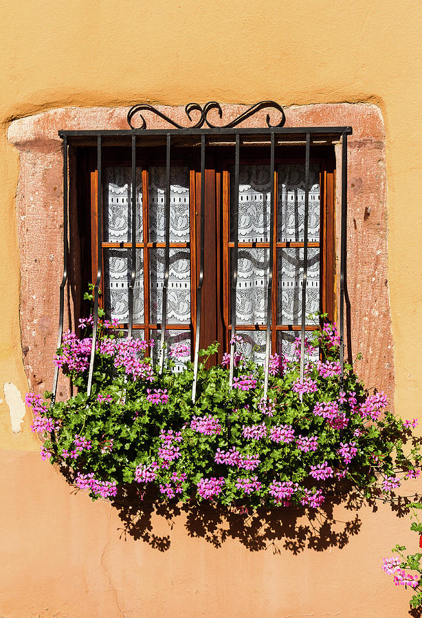 Flowered window # II Photograph by Paul MAURICE