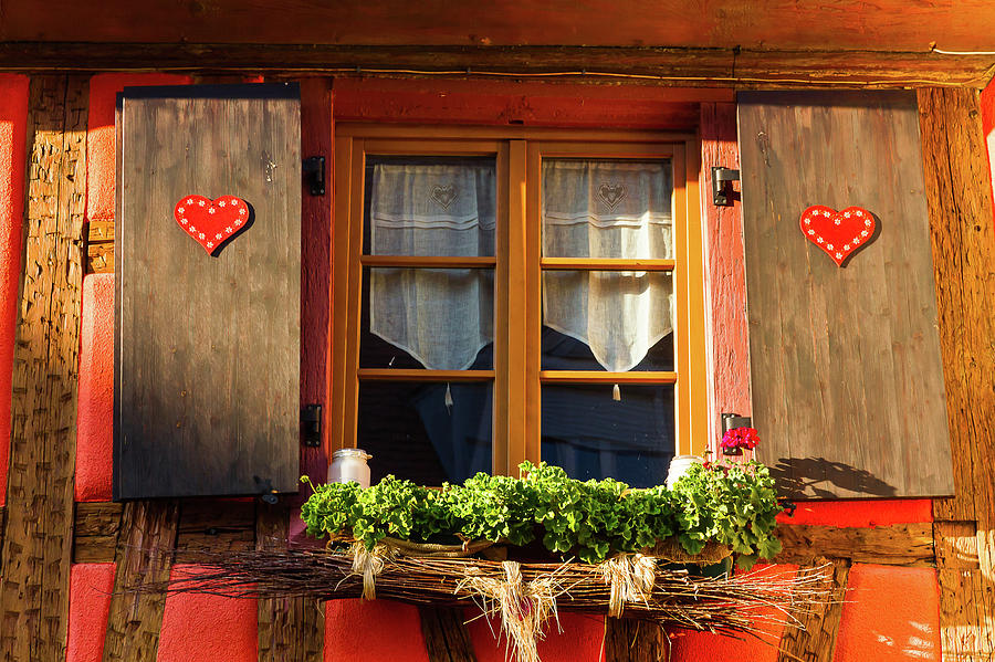 Flowered window # IV Photograph by Paul MAURICE