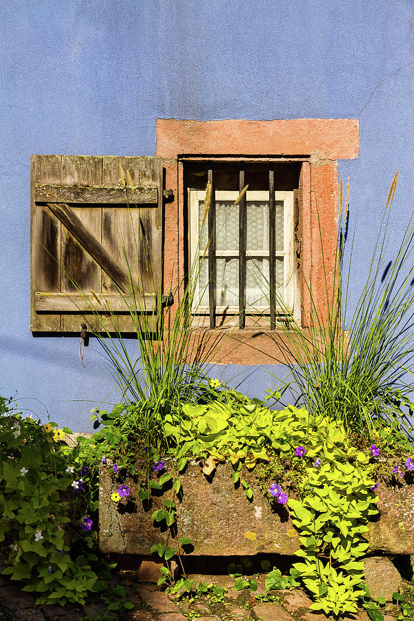Flowered window # V Photograph by Paul MAURICE