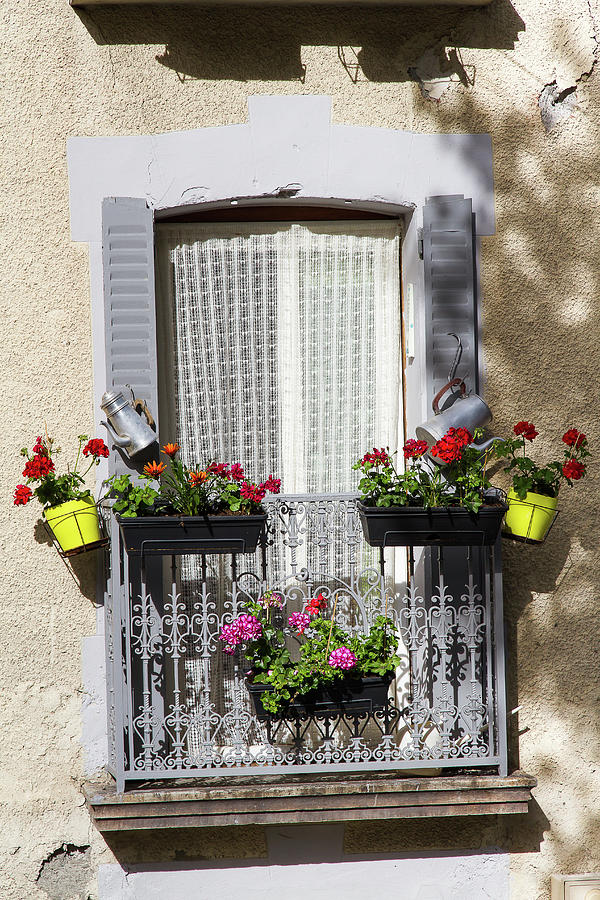 Flowered window Photograph by Paul MAURICE