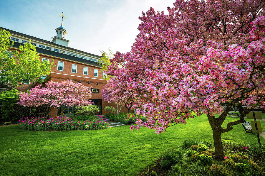 Flowering Crabapples At The Belknap Mill Photograph by Robert Clifford