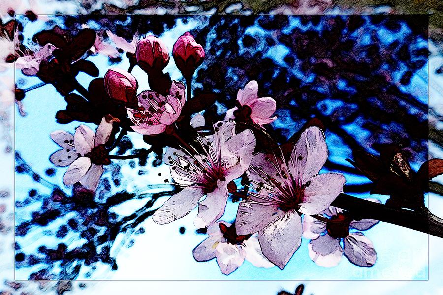 Flowering Of The Plum Tree 7 Photograph