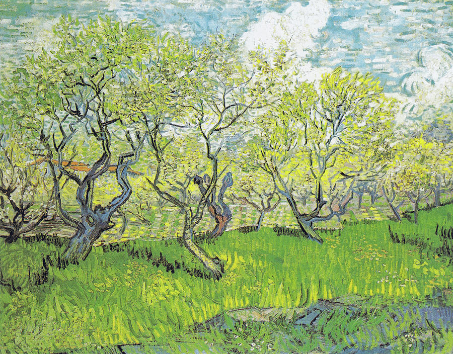 Flowering Orchard Painting by Vincent van Gogh