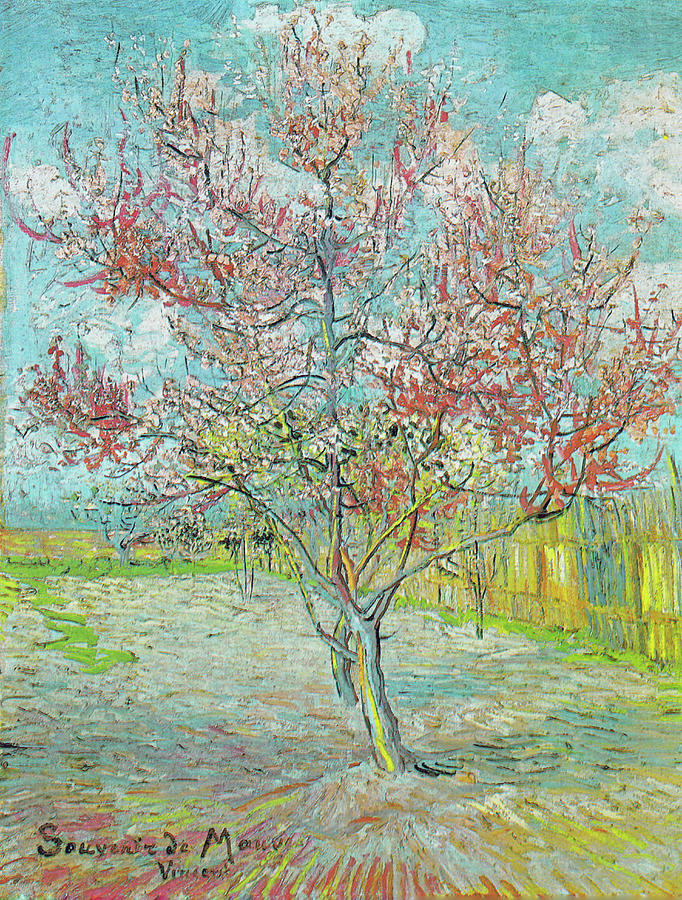 Flowering Peach Tree, Memory of Mauve Painting by Vincent van Gogh