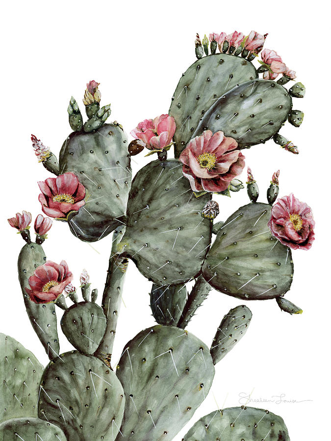 Flower Painting - Flowering Prickly Pear Cactus by Shealeen Louise