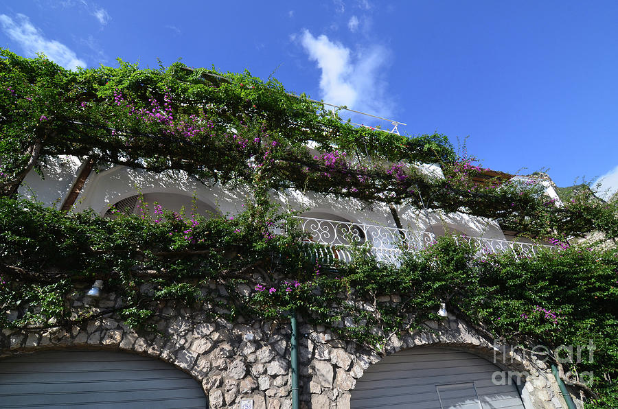Flowering Vines Covering the Front of a Building in Positano Ita Photograph by DejaVu Designs
