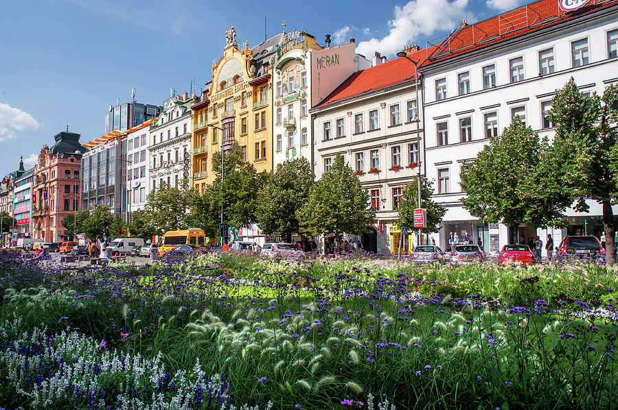 Flowering Wenceslas Square in Prague Photograph by Jenny Rainbow