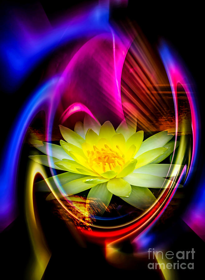 Lily Painting - Flowermagic 14  Water Lily by Walter Zettl