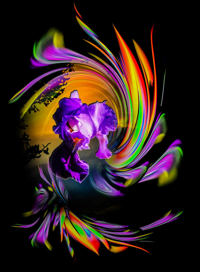 Flowermagic Photograph