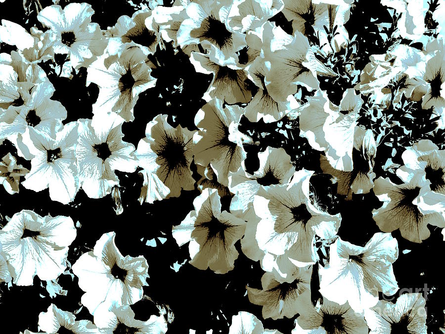 Flowers Abstract 002 Photograph by Jor Cop Images