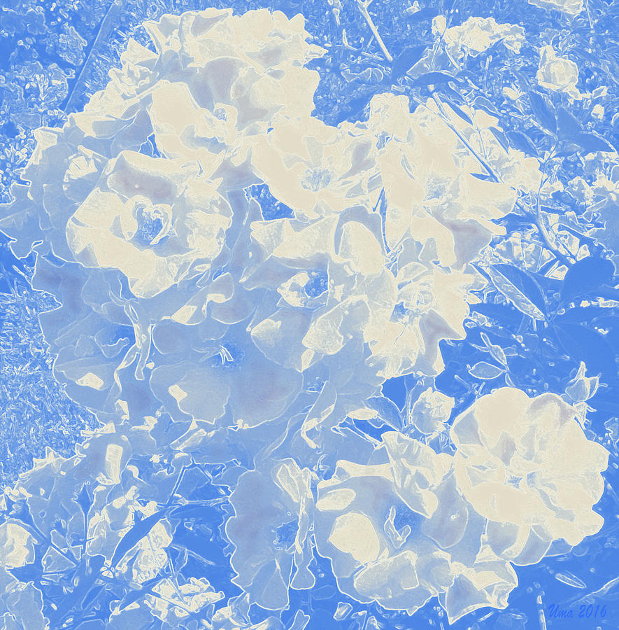 Flowers abstract 2 Digital Art by Uma Krishnamoorthy