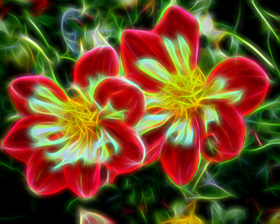 Flowers - Abstract 7 by Don Keisling Flowers - Abstract 7 by Don Keisling