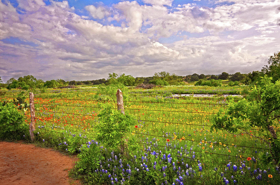 Landscape Photograph - Flowers Along the Tracks by Lynn Bauer