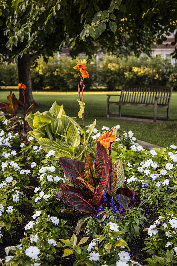 Flowers and Bench MSU Photograph by John McGraw