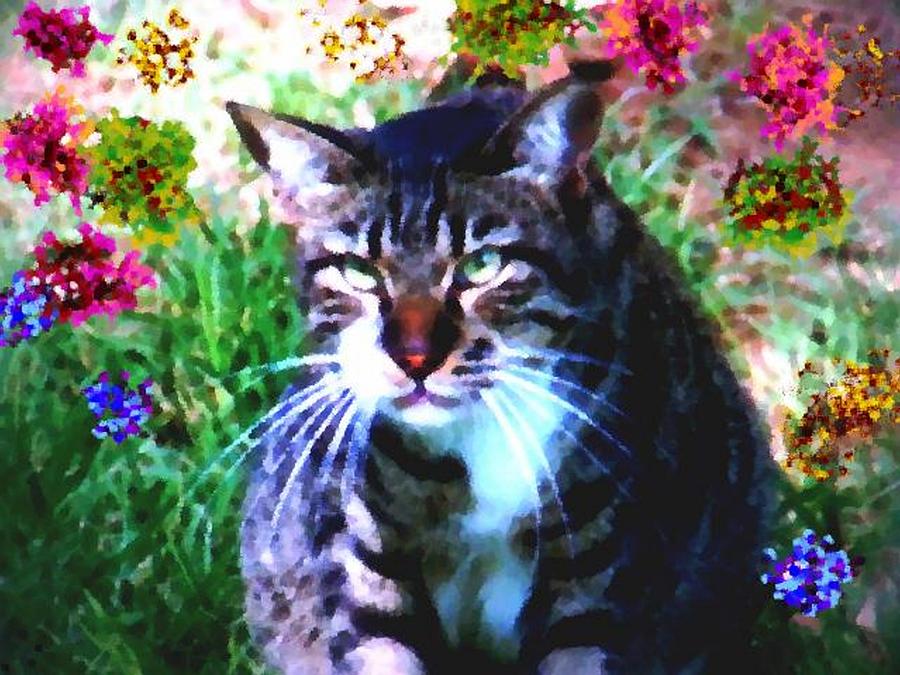 Flowers And Cat Digital Art by Dr Loifer Vladimir