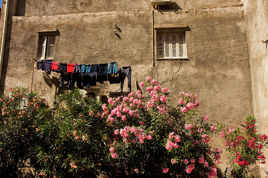 Flowers and Clothesline on Old Wall Photograph by Darryl Brooks
