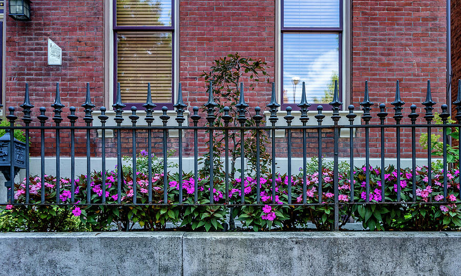 Flowers and Fence Soulard MO_DSC0214_16  Photograph by Greg Kluempers