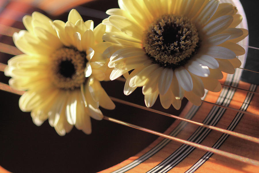 Flowers and Guitar Photograph by Angela Murdock