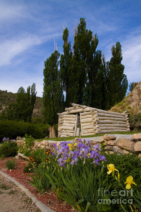 Flowers And Log Cabin Photograph By Robert Gaines