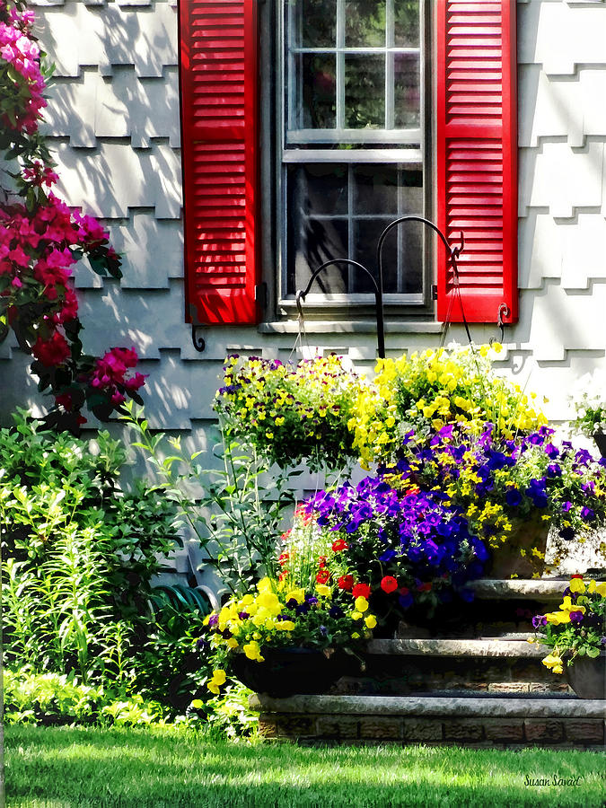 Flowers and Red Shutters Photograph by Susan Savad