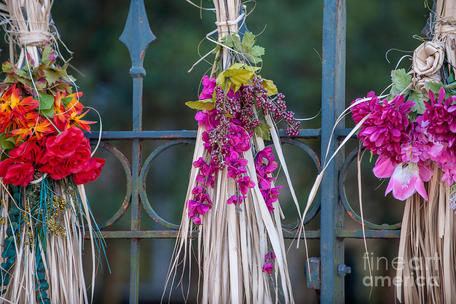 Flowers And Sweetgrass Photograph