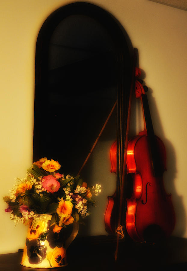 Flowers and Violin Photograph by Bill Cannon