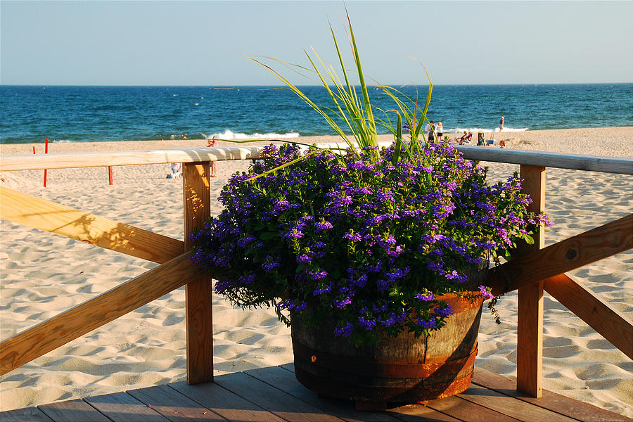 Flowers at the Beach Photograph by James Kirkikis