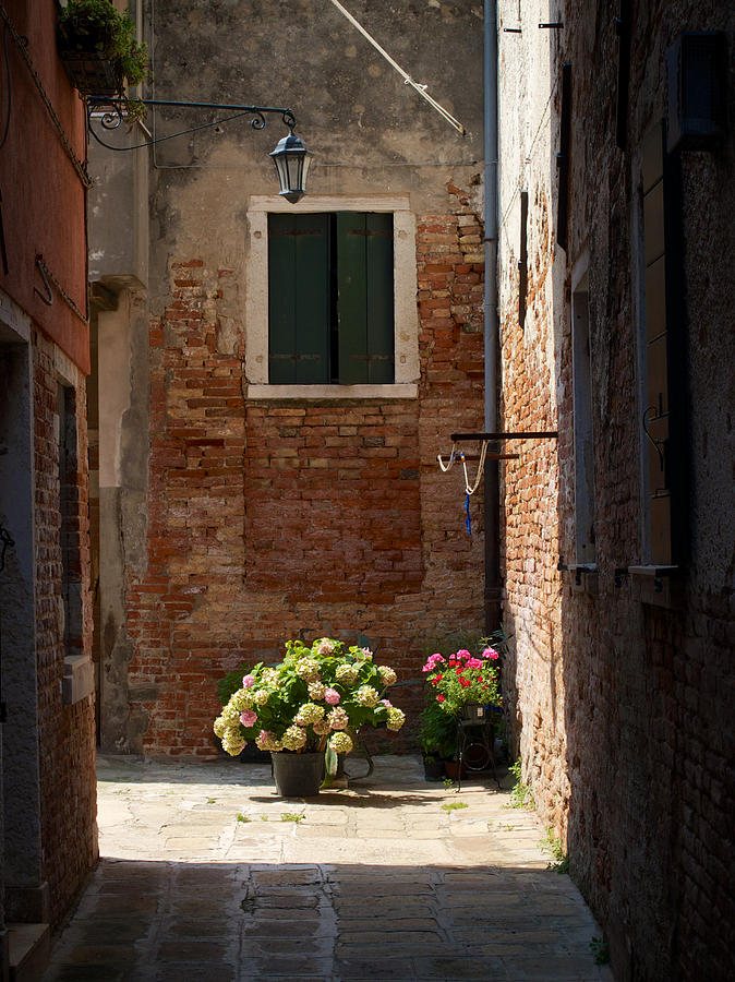 Flowers At The End Of The Alley Photograph by David Beebe