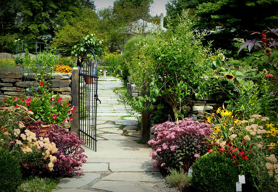 Flowers At The Garden Gate Photograph by Lori Seaman