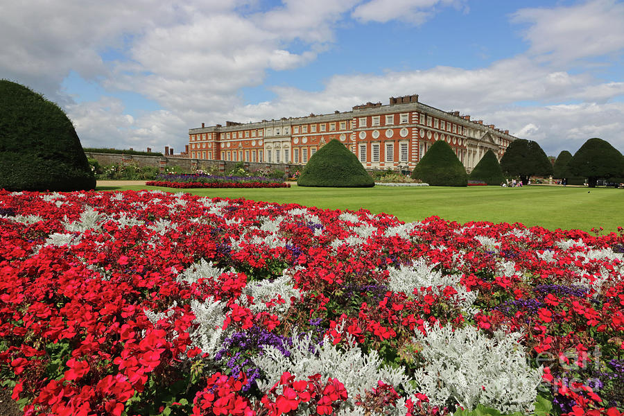 Flowers at Hampton Court Palace Photograph by Julia Gavin