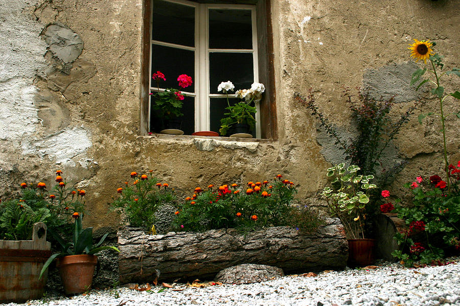 Flowers at window Photograph by Emanuel Tanjala