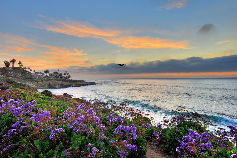 Flowers by the Ocean Photograph by Mark Whitt