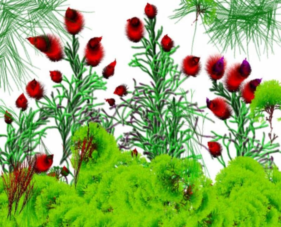 Flowers fantasy Digital Art by Dr Loifer Vladimir