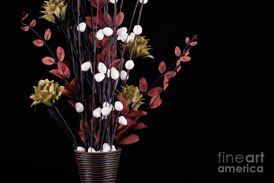 Flowers in a vase with black background Photograph by Simon Bratt