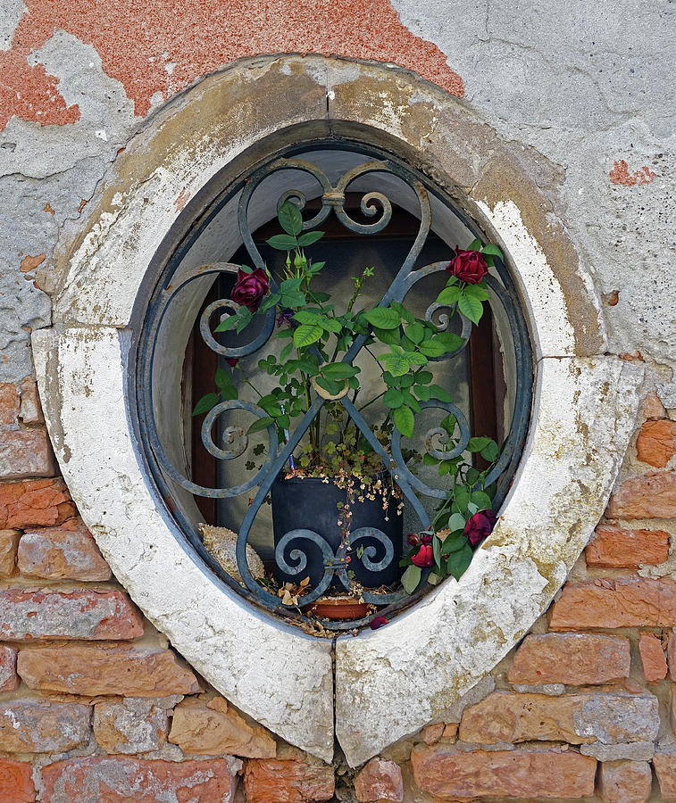 Flowers In An Ornate Window In Venice, Italy Photograph by Rick Rosenshein