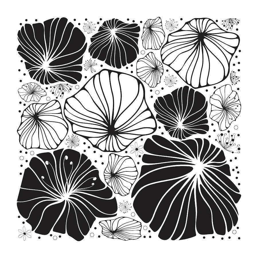 Illustration Drawing - Flowers in black and white by Maria Biro Illustration Drawing - Flowers in black and white by Maria Biro