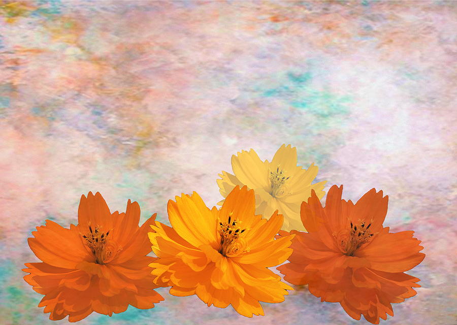 Flowers in Clouds Digital Art by Viktor Savchenko