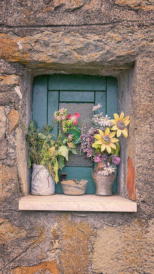 Joan Carroll Photograph - Flowers in Lemmen Cinque Terre Italy by Joan Carroll