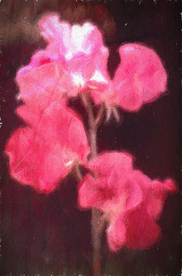 Flowers in Pink Digital Art by Cathy Anderson