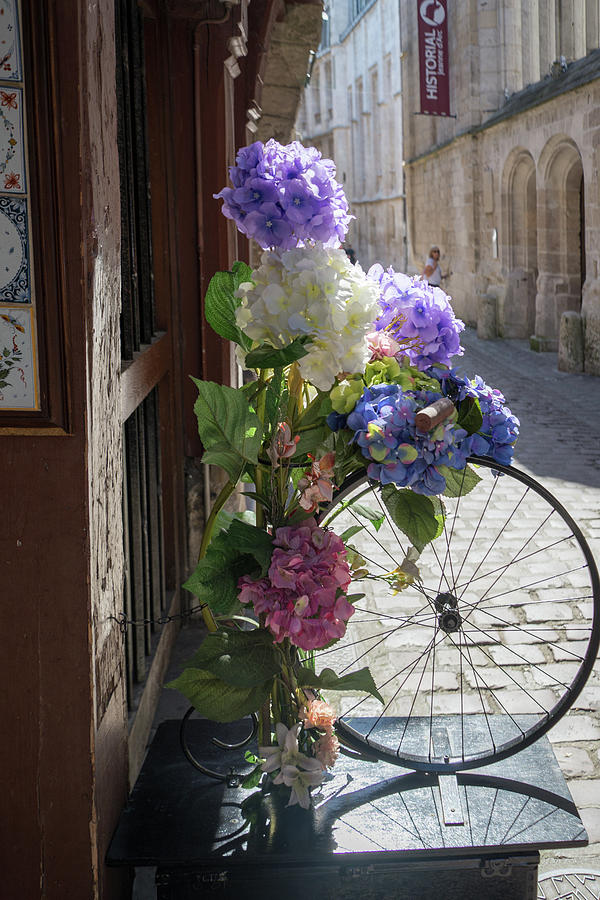 Flowers in Rouen France Digital Art by Carol Ailles