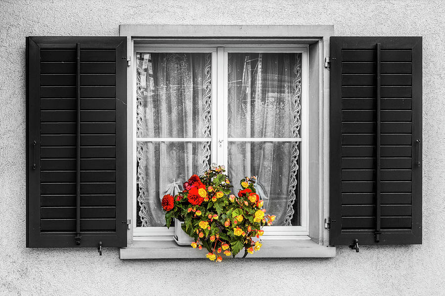 Flowers in the Black and White Window Photograph by Debra and Dave Vanderlaan