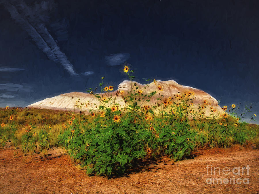 Sunflower Photograph - Flowers In The Desert  ... by Chuck Caramella