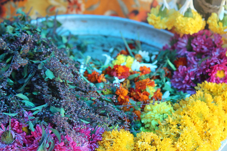 Flowers in the Market, Near Sajjangad Photograph by Jennifer Mazzucco
