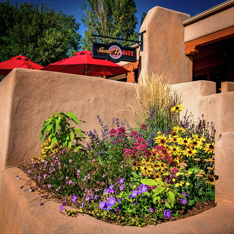 Flowers in the Santa Fe Style Photograph by Paul LeSage