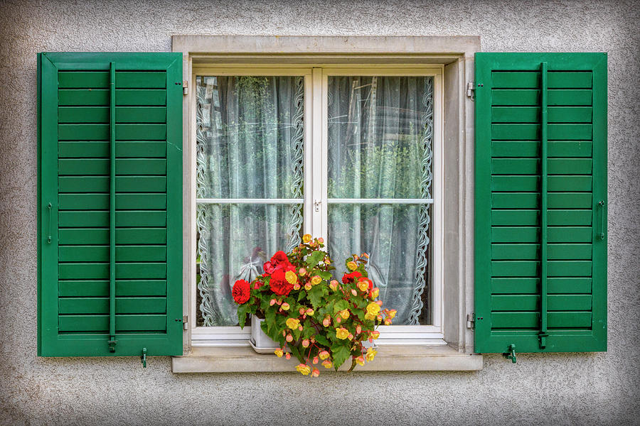 Flowers in the Window With the Green Shutters Photograph by Debra and Dave Vanderlaan