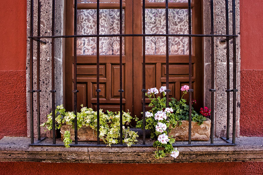 Flower Photograph - Flowers in Window Box San Miguel de Allende by Carol Leigh
