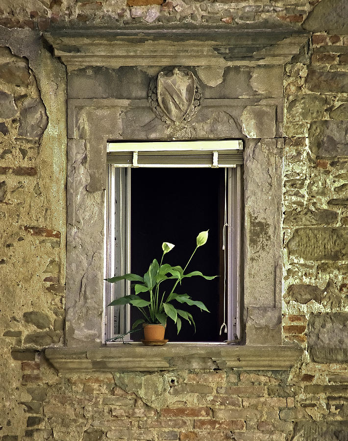 Architecture Photograph - Flowers in Window by Mark Coran