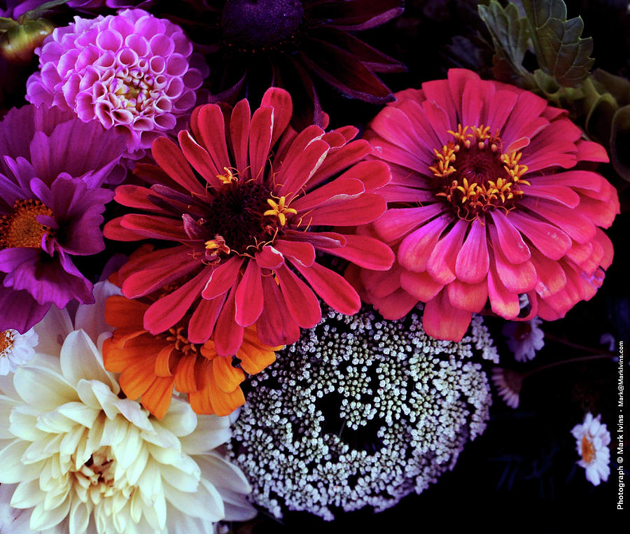 Flowers Photograph by Mark Ivins